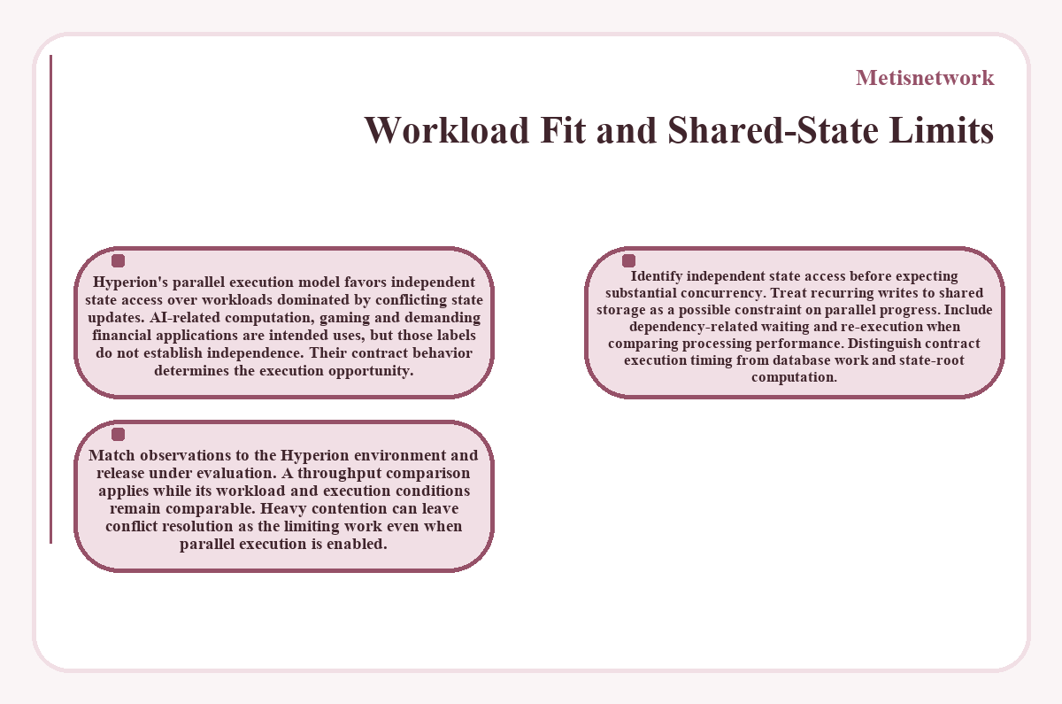 Visual summary: Metisnetwork - Workload Fit and Shared-State Limits
